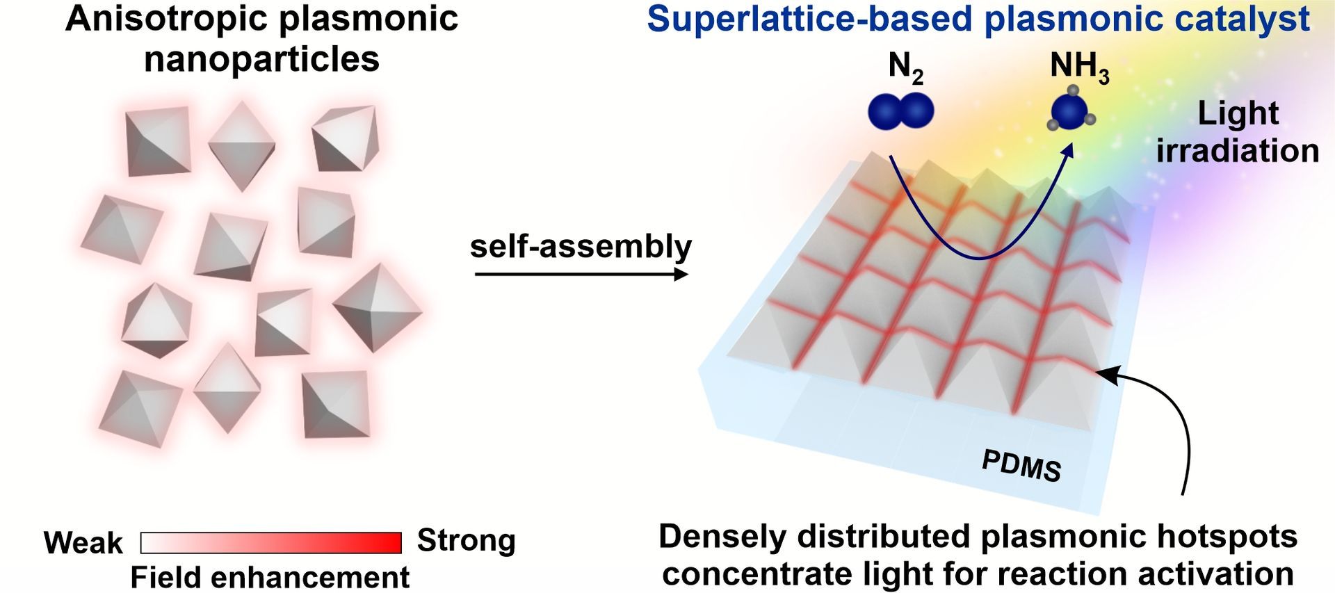 Plasmonic and photonic architectures for concentrating energy at catalytic sites