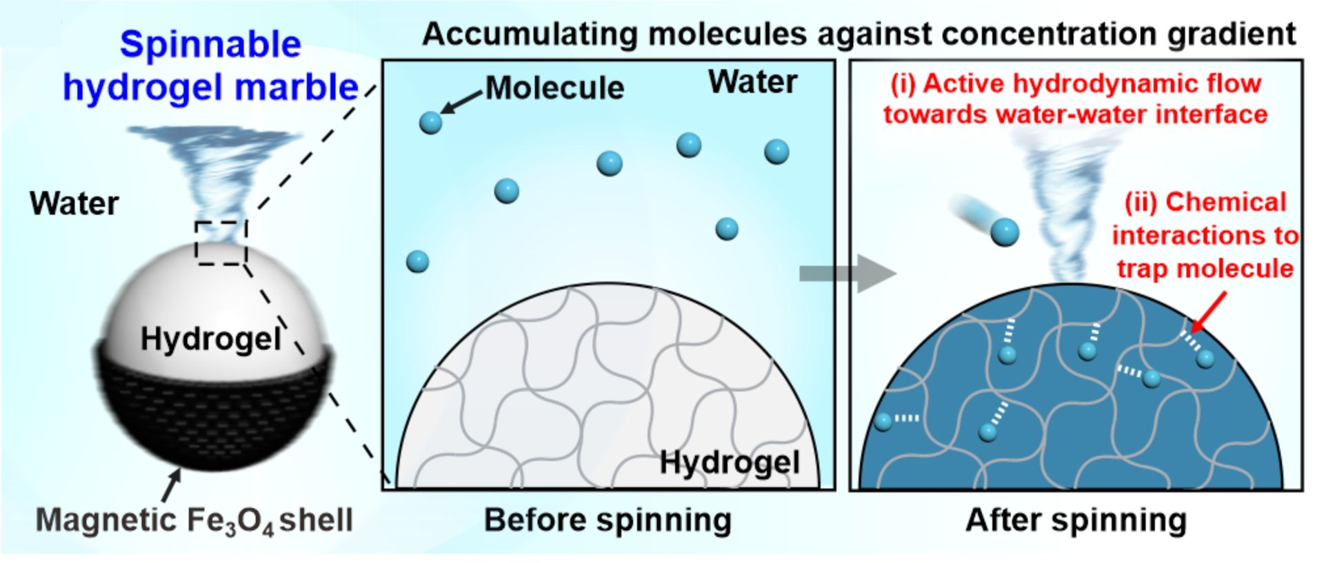 Dynamic interfacial platforms for molecule concentration and environmental applications